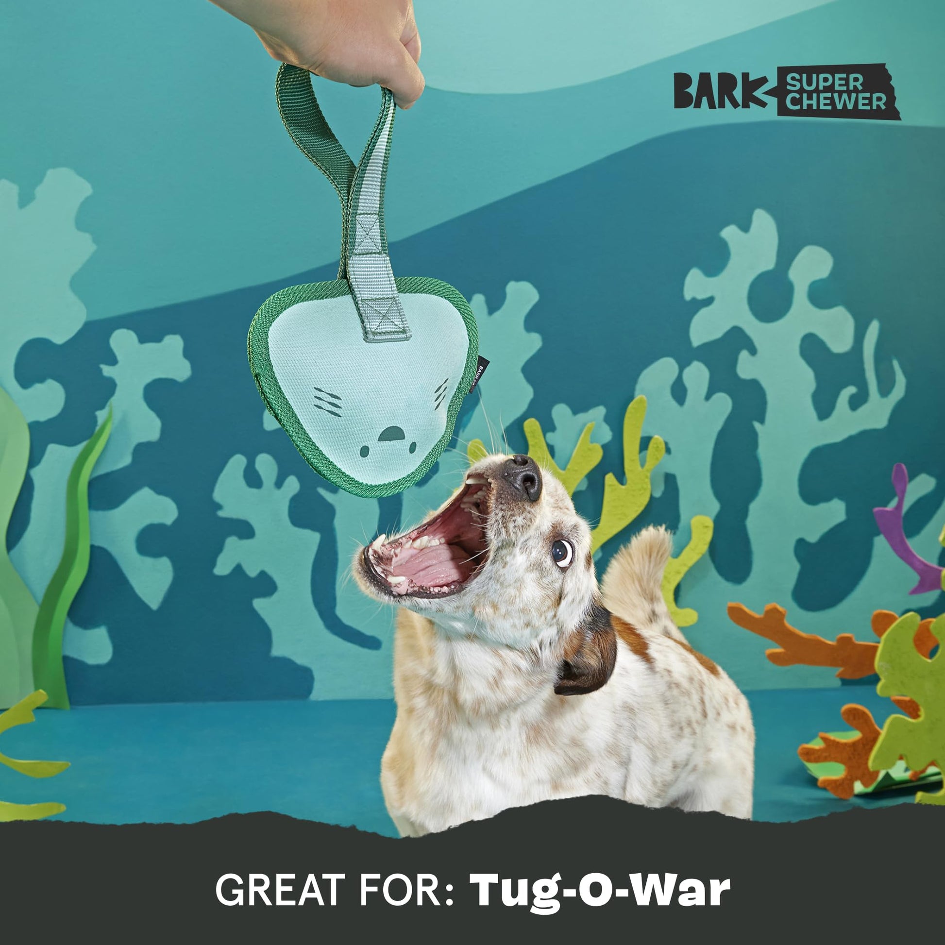 Barkbox Flingray Dog Toy for Large Aggressive Chewers Durable Toy