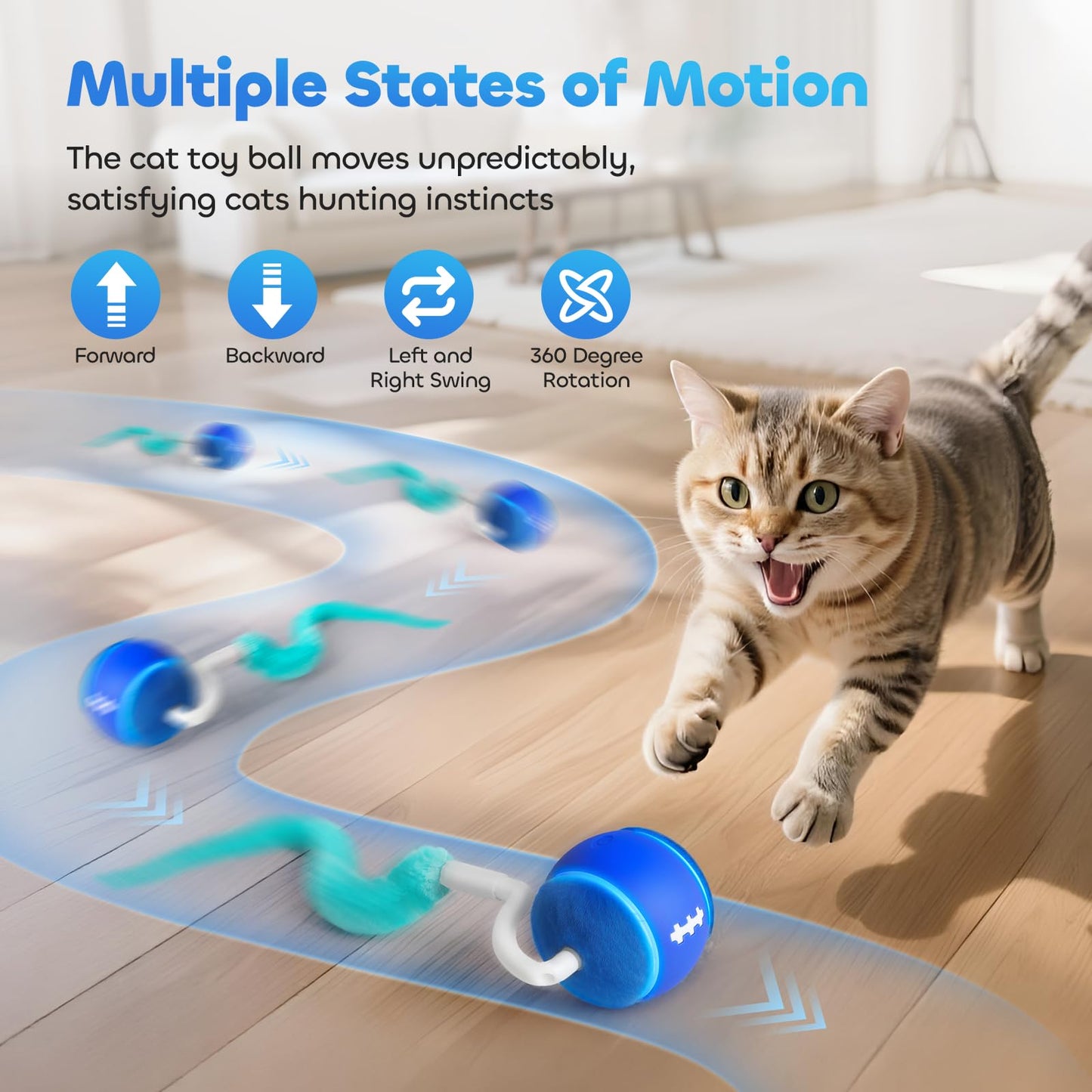 ddxcoo Automatic Interactive Cat Toy Ball for Indoor Cats, Ball