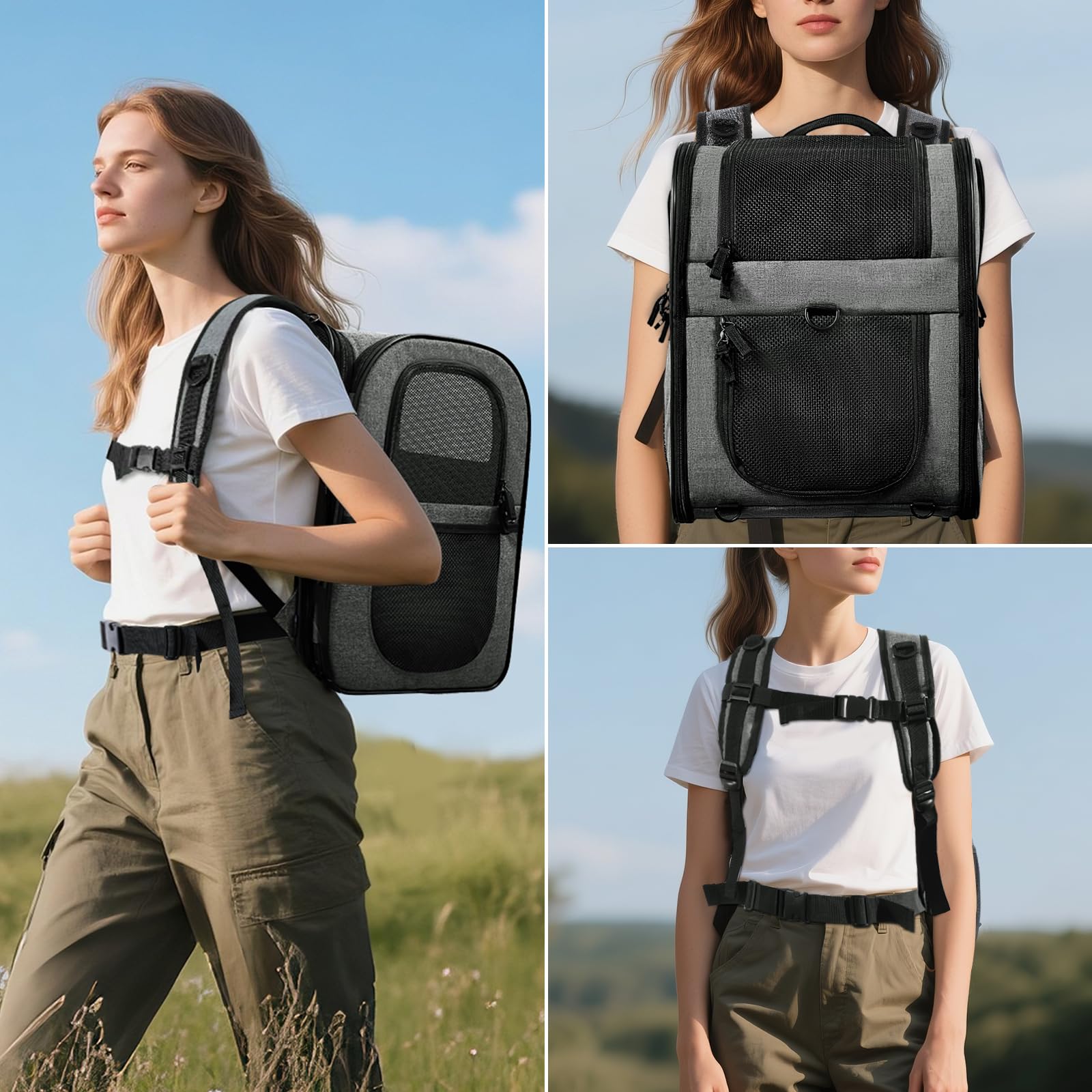 Apollo Walker Pet Carrier Backpack for Large/Small Carrier