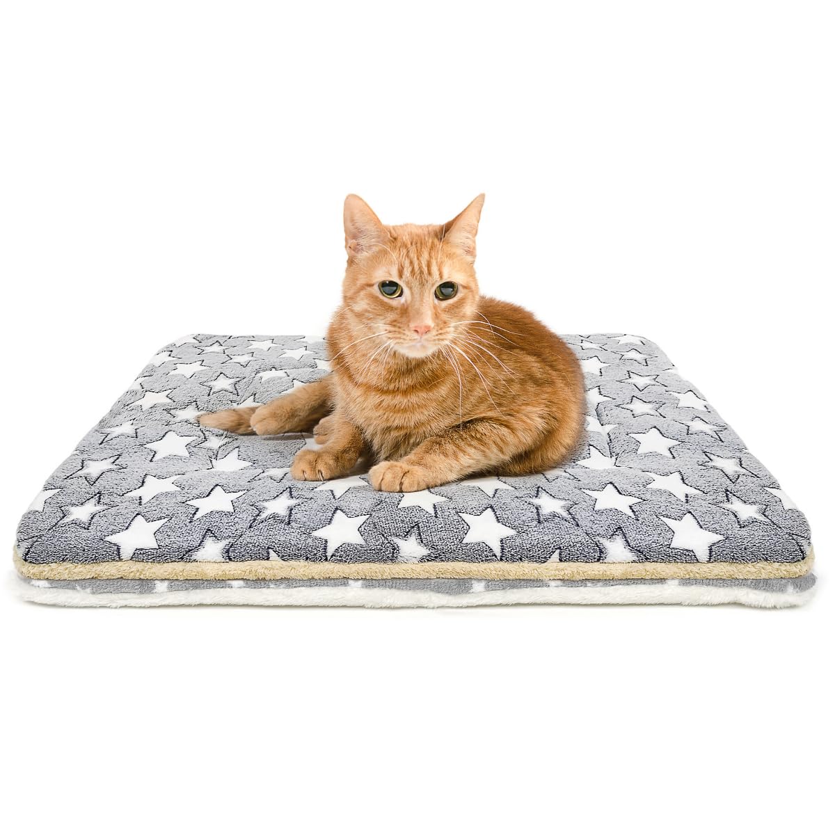 Tierecare 2 Pack Cat Blanket for Indoor Cats Ultra Soft and Warm Bed
