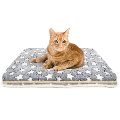 Tierecare 2 Pack Cat Blanket for Indoor Cats Ultra Soft and Warm Bed