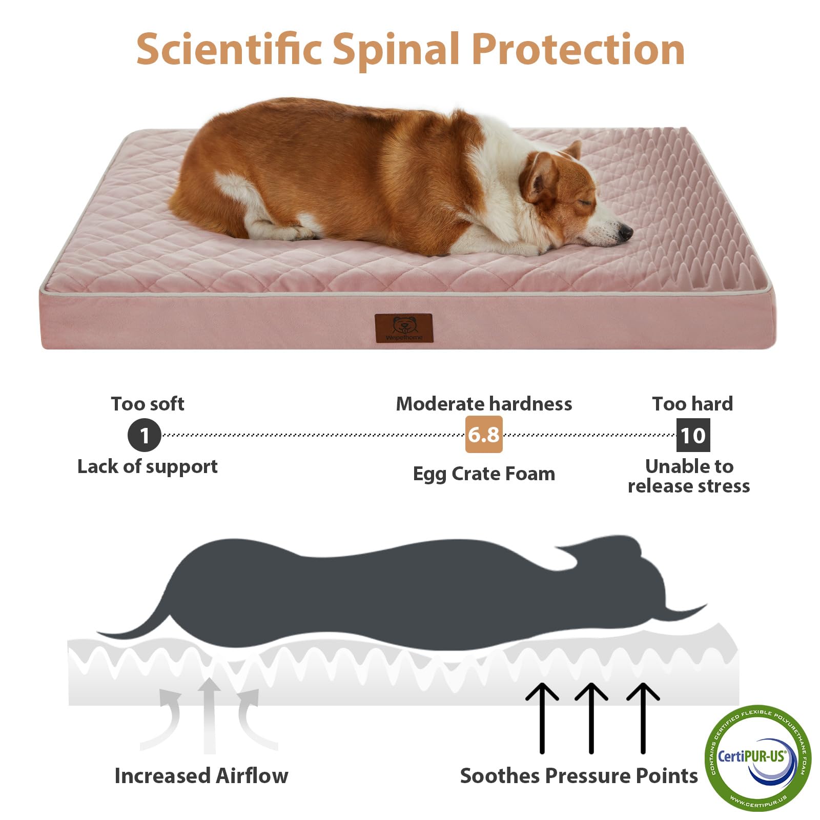 WNPETHOME Orthopedic Dog Bed Medium Size Dog, Waterproof Bed