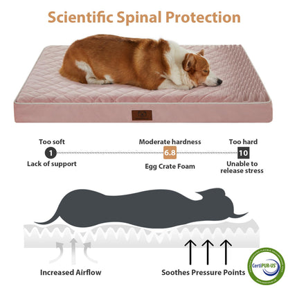 WNPETHOME Orthopedic Dog Bed Medium Size Dog, Waterproof Bed
