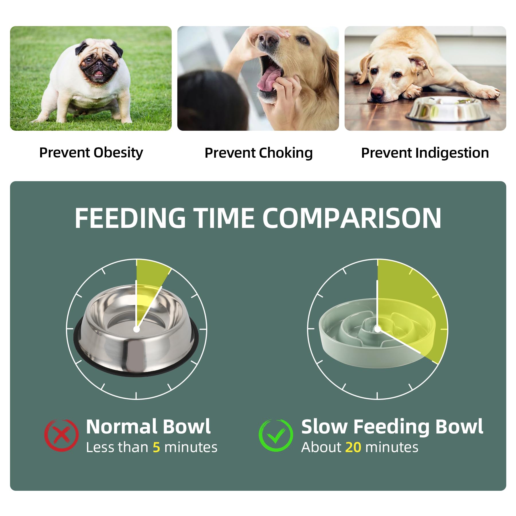 Havniva Ceramic 1.6 Cup Slow Feeder Dog Bowl Puzzle