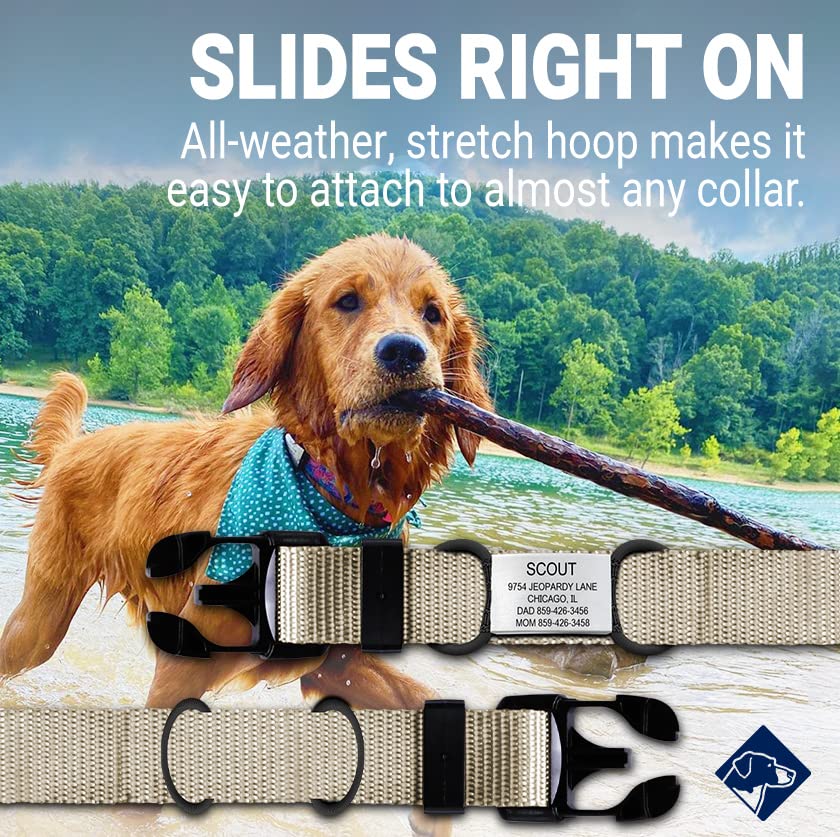 Personalized Dog Tags by ROAD iD, Silent Durable, Jingle-Free Collar