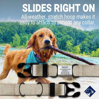 Personalized Dog Tags by ROAD iD, Silent Durable, Jingle-Free Collar