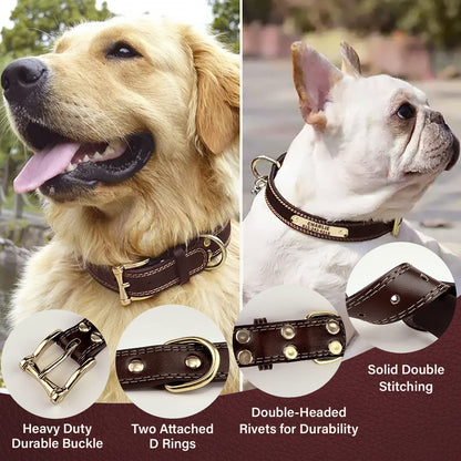 Personalized Custom Leather Dog Collar with Engravable Collar