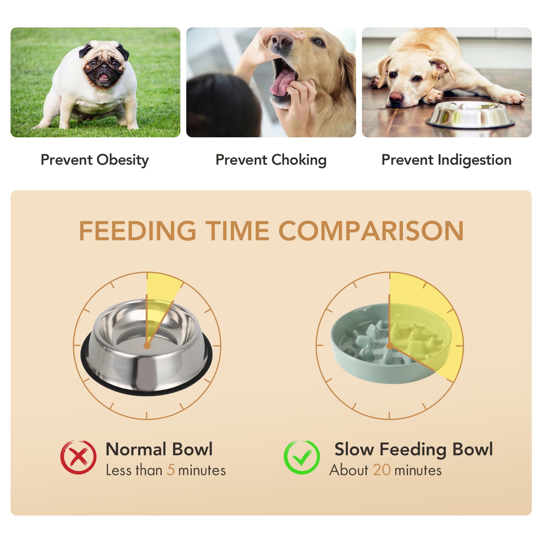Havniva Ceramic Raised Slow Feeder Dog Bowl Set, Elevated Bowl