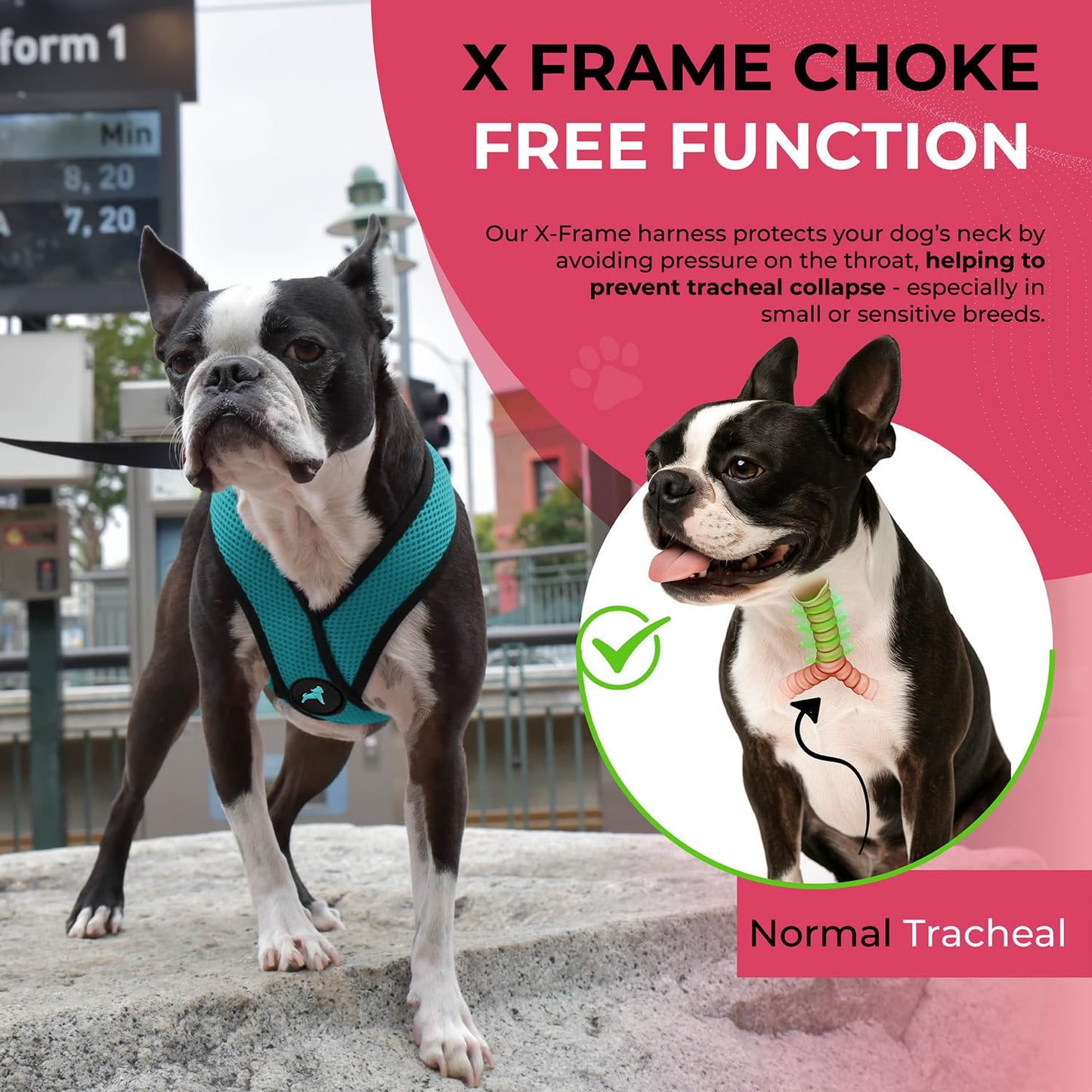 Gooby Comfort X Head in Harness Small No Pull Dog Harness