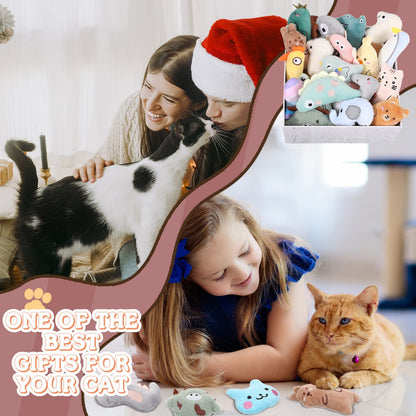 Sratte 25 Pcs Catnip Cat Chew Toy Interactive Catnip Filled Catnip