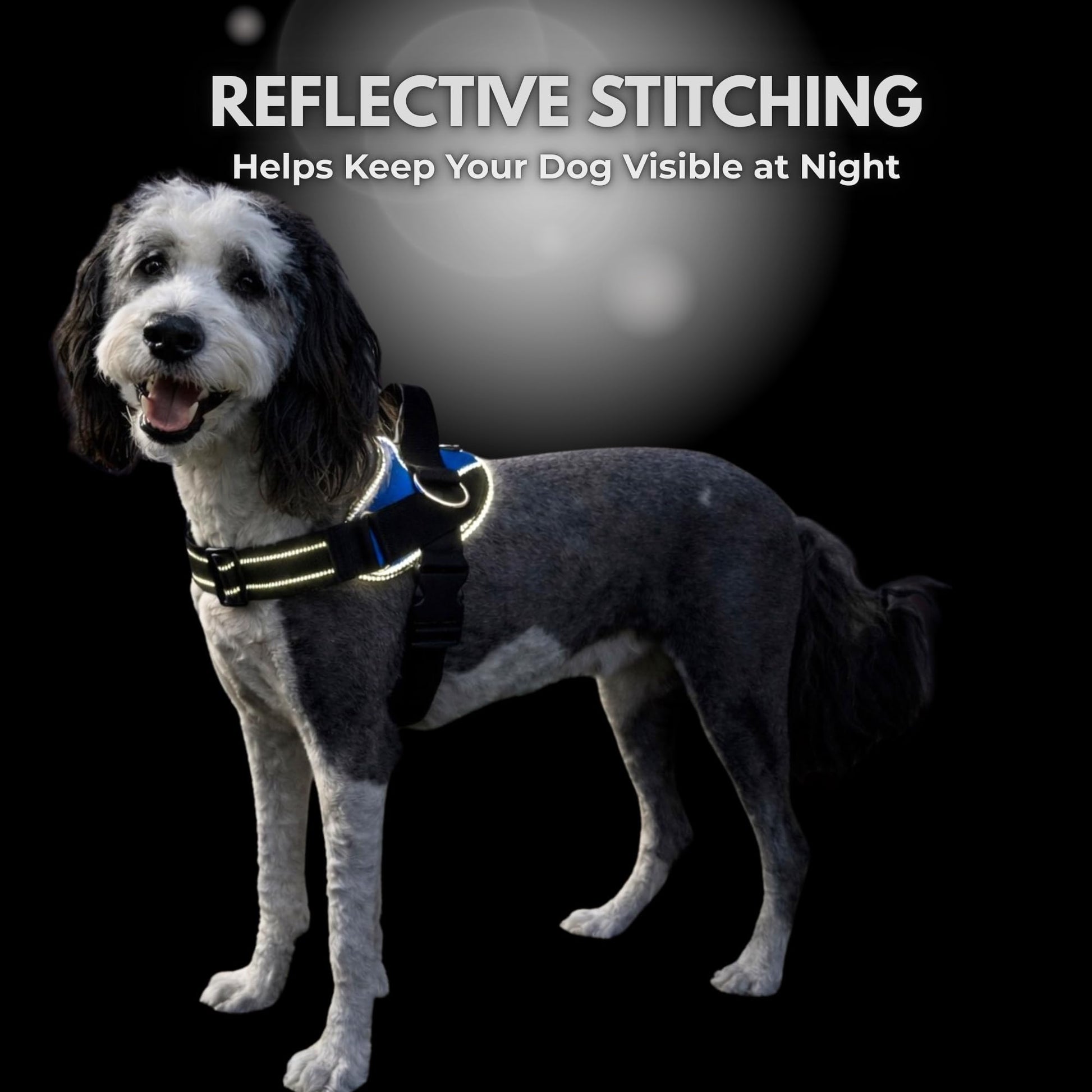 ShawnCo Essential Dog Harness, No-Pull Pet Vest with 3 Leash Leash