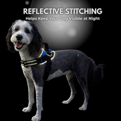 ShawnCo Essential Dog Harness, No-Pull Pet Vest with 3 Leash Leash
