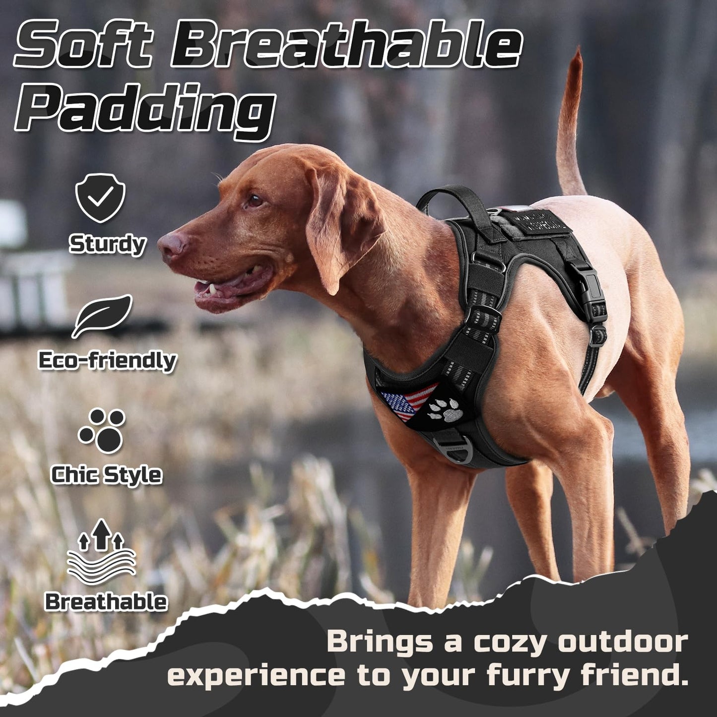 rabbitgoo Tactical Dog Harness Medium Sized Dog, No Pull Harness
