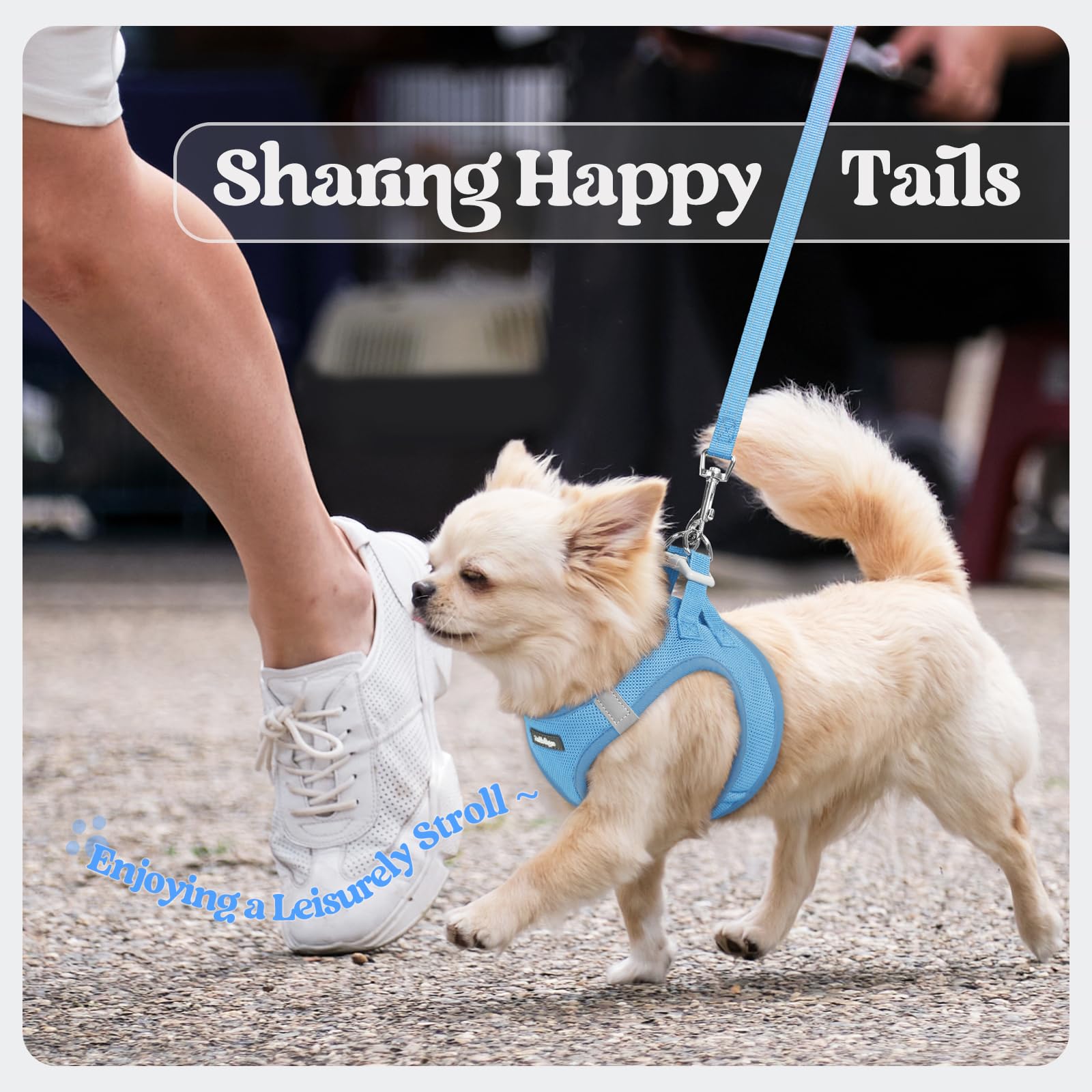rabbitgoo Dog Harness Small Sized and Leash Set, Step in Soft Set