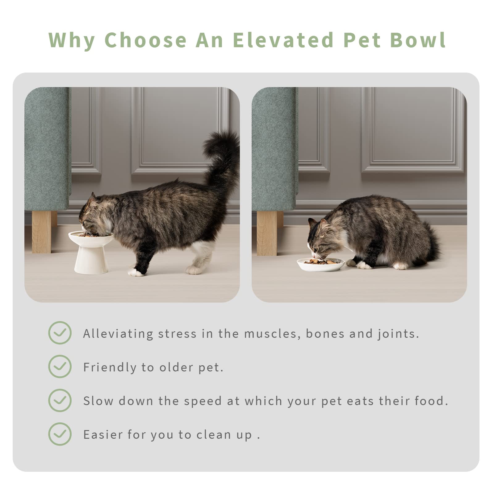 CEEFU Extra Wide Elevated Ceramic Cat Bowl, 6.2" Shallow Dish Bowl