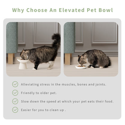 CEEFU Extra Wide Elevated Ceramic Cat Bowl, 6.2" Shallow Dish Bowl
