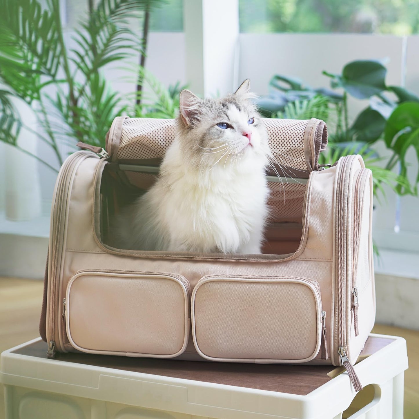 FUKUMARU Cat Carrier, 4 Mesh Windows Small Dog Carrier, 4 Storage Bag