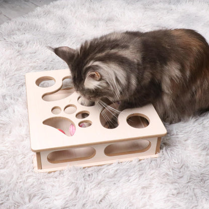 DI BI GRAMAS Cat Interactive Box Puzzle Toy with 3 Small Balls Balls