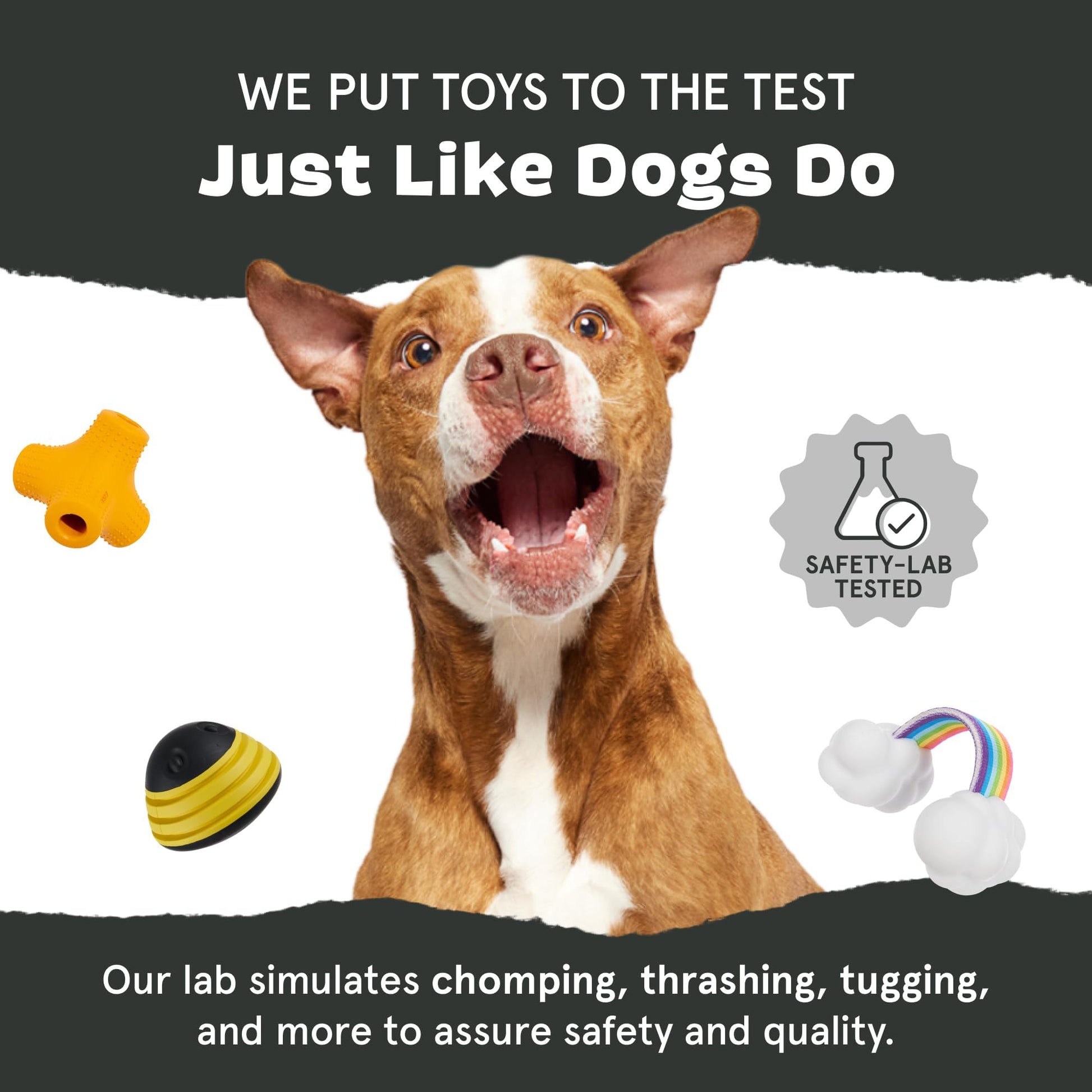 Barkbox Flingray Dog Toy for Large Aggressive Chewers Durable Toy