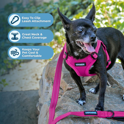 Best Pet Supplies Voyager Mesh Dog Breathable Harness Reflective Set