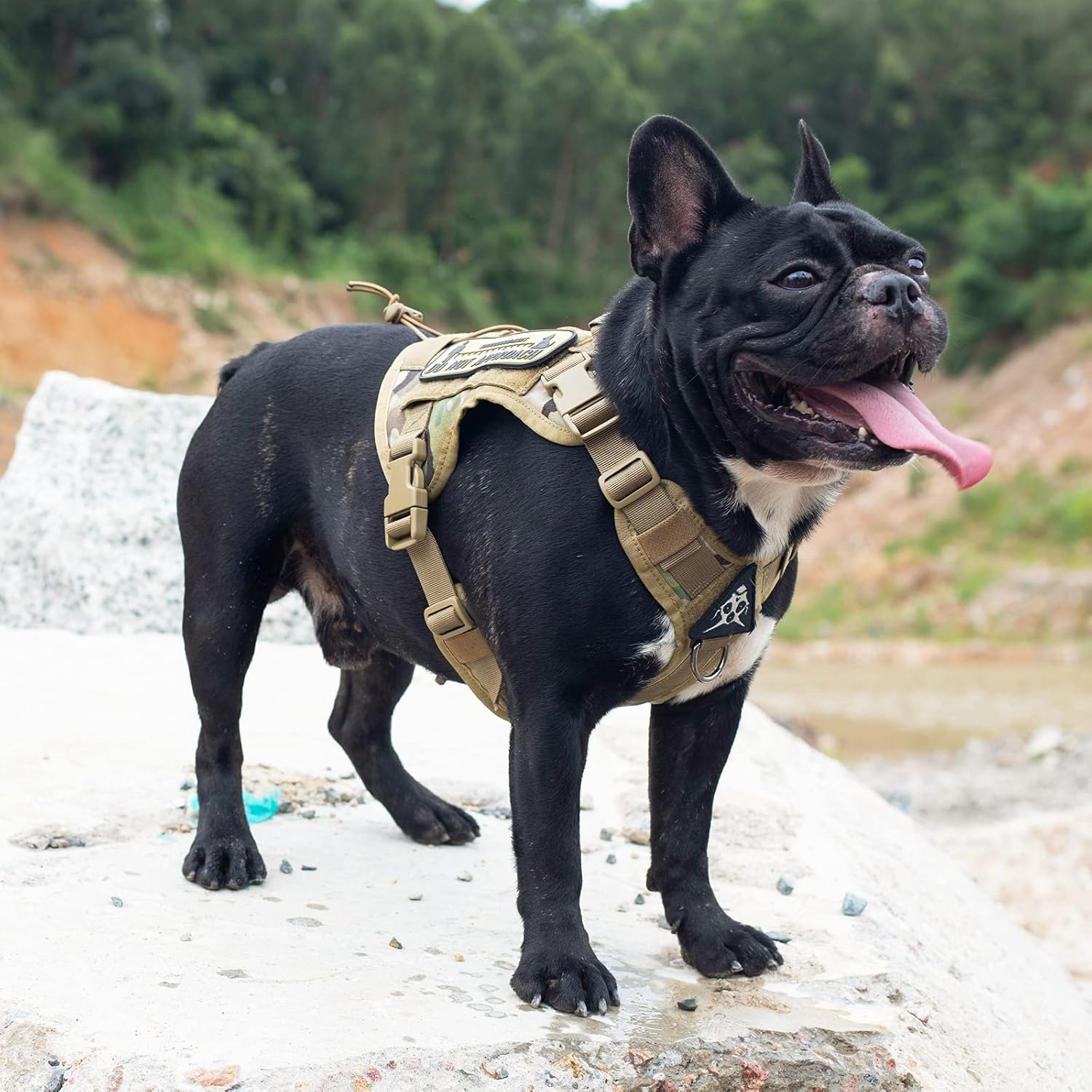 Tactical Dog Harness Vest with Handle, Military Dog Harness