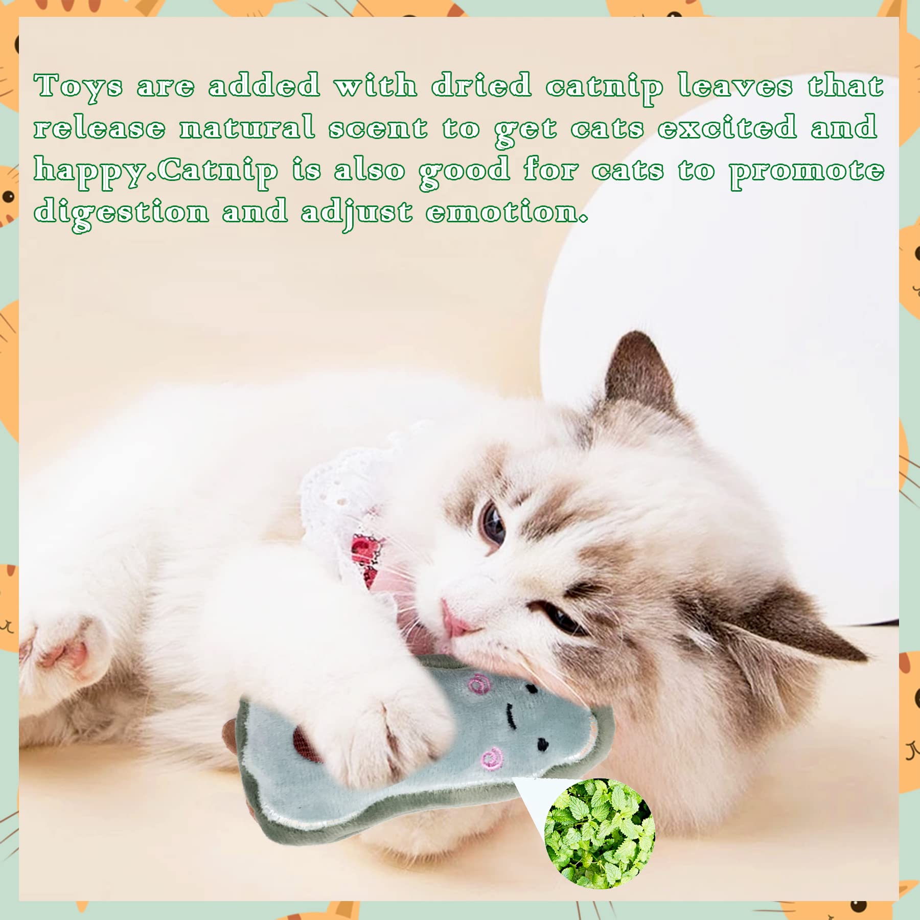 Pai Sence Cat Toys for Indoor Cats Kittens Interactive Pillow Catnip