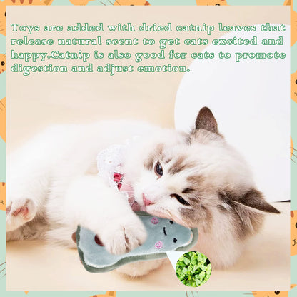 Pai Sence Cat Toys for Indoor Cats Kittens Interactive Pillow Catnip