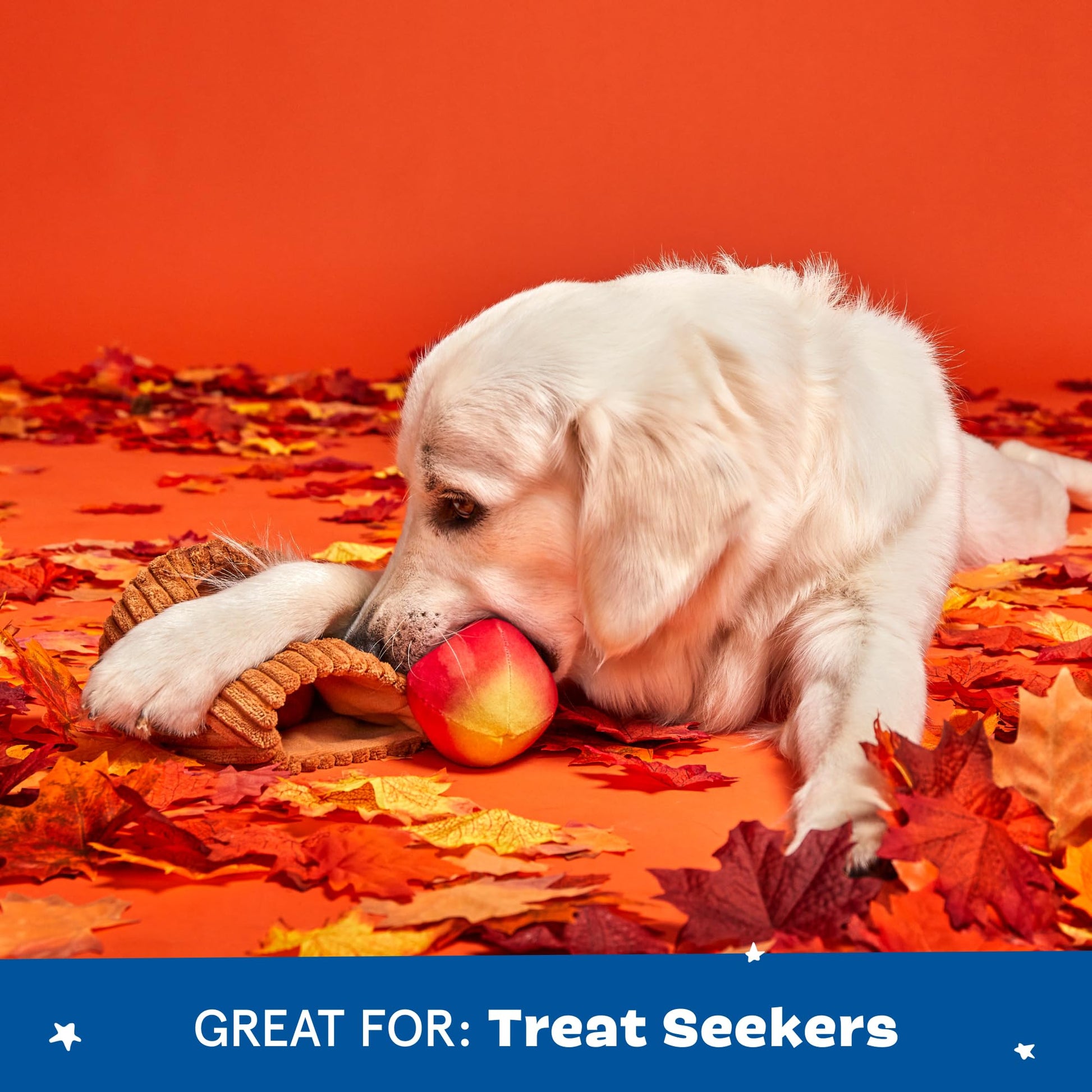 Barkbox Dog Toys Them Apples 1 Multi Part Interactive Puzzle Dog Toy