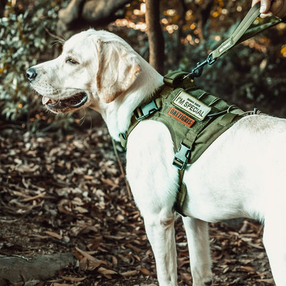 OneTigris Dog Harness, Tactical Dog Harness No-Pull Breathable Harness