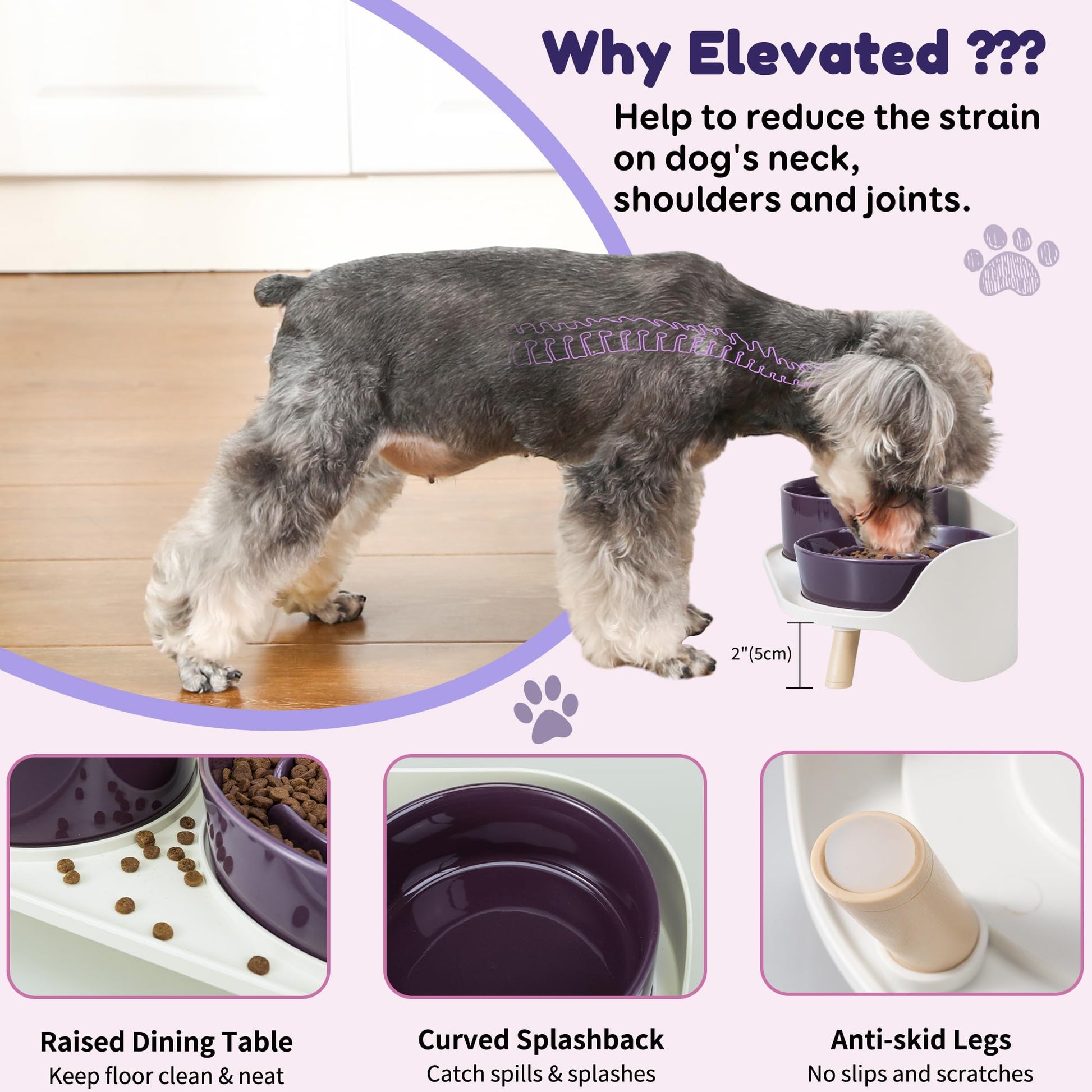 Elevated Slow Feeder Dog Bowls Ceramic Food and Water Bowl Set