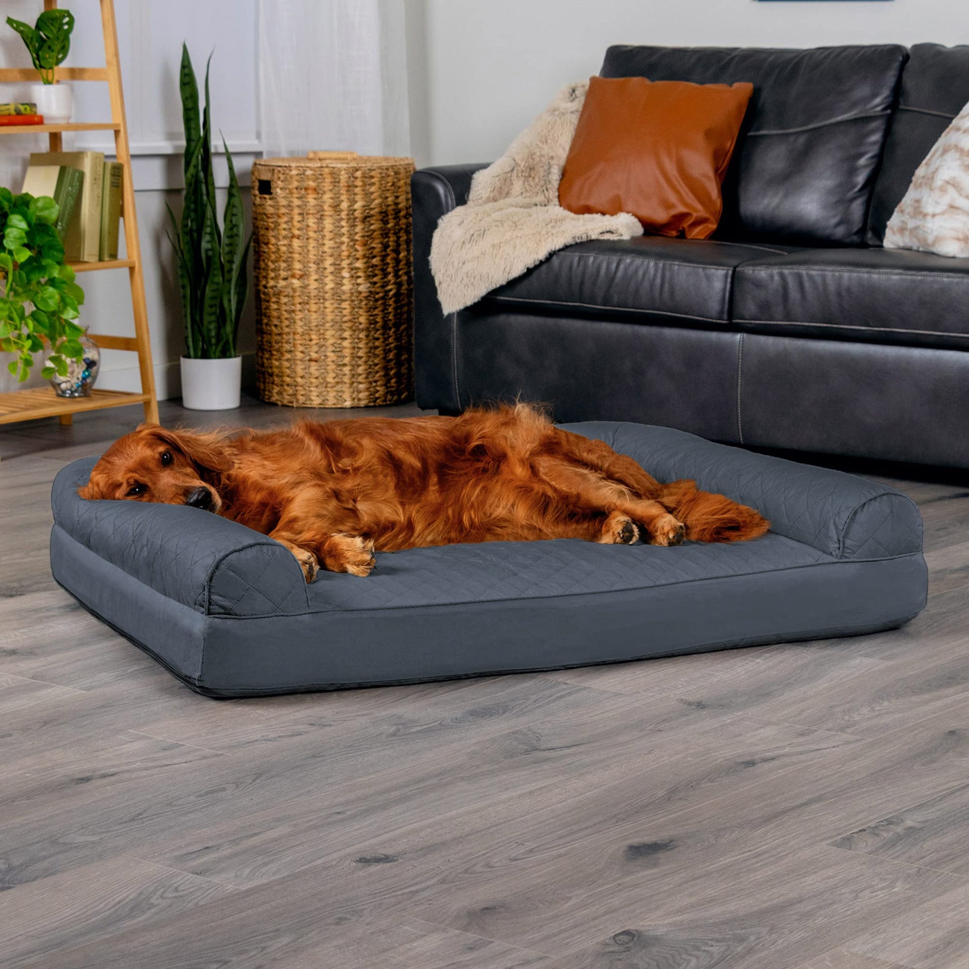 FurHaven Dreamer Sofa Orthopedic Dog Bed