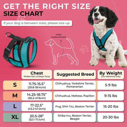 Gooby Comfort X Head-in Harness Medium Dog Harness (9- No Pull Harness
