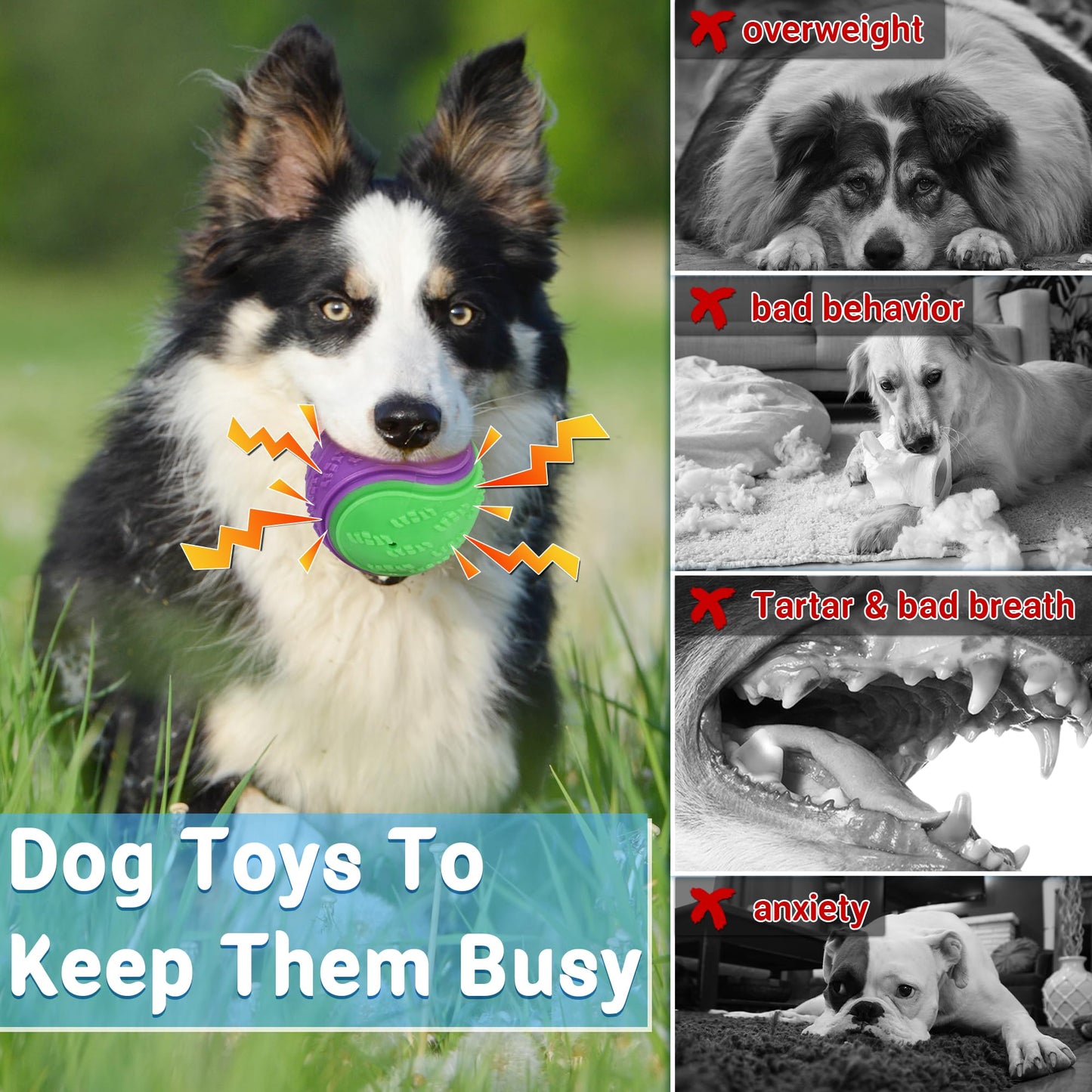 LECHONG Squeaky Dog Balls Toys for Training, Dog Toys to Keep Chew