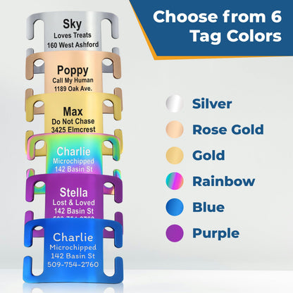 GoTags Reflective Personalized Dog Collar with Nameplate, Collar