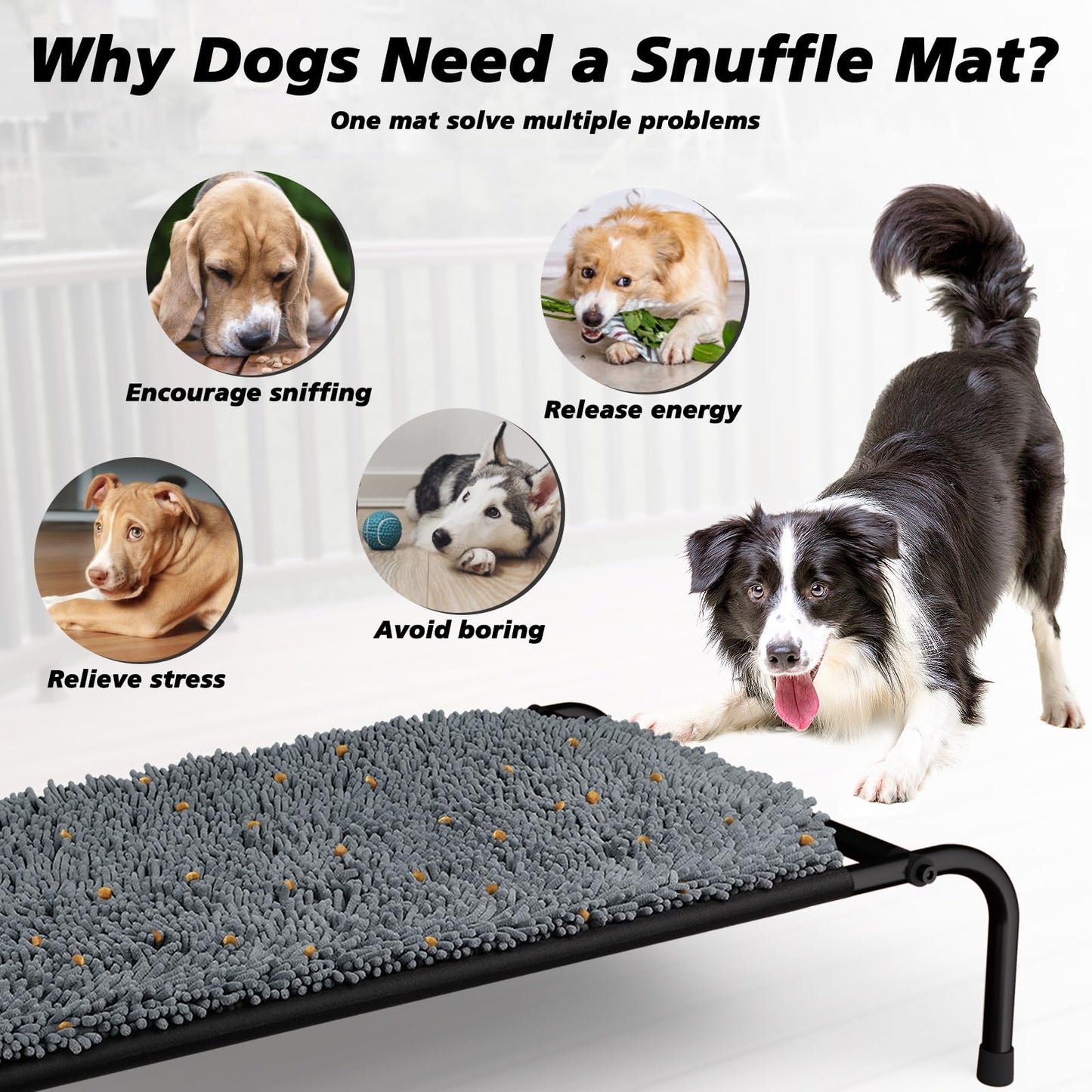 Rundik Elevated Dog Bed with Snuffle Mat Feature 1, Raised Dog Game