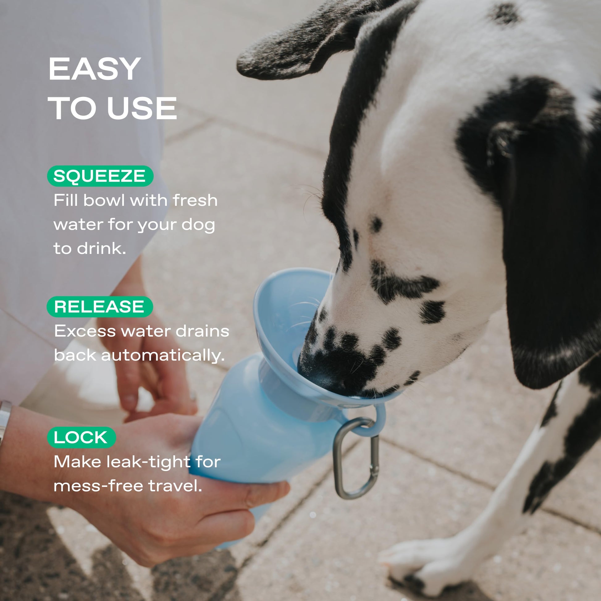 Springer Dog Water Bottle, Portable Travel Drinking Feeder Dispenser