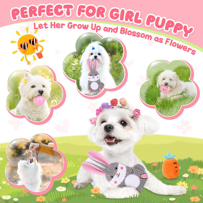 Zeaxuie Puppy Toys for Teething 9 Pack Small Dog Set With Chew