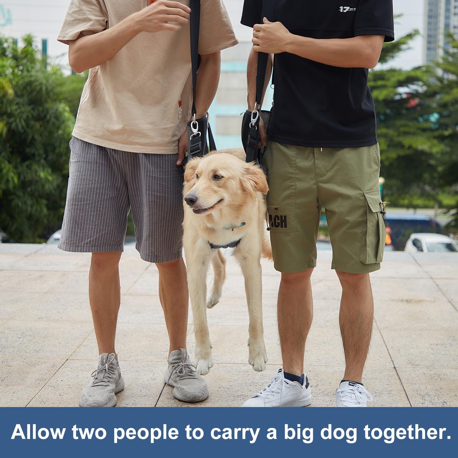 COODEO Dog Carry Sling, Emergency Backpack Pet Legs Support Carrier