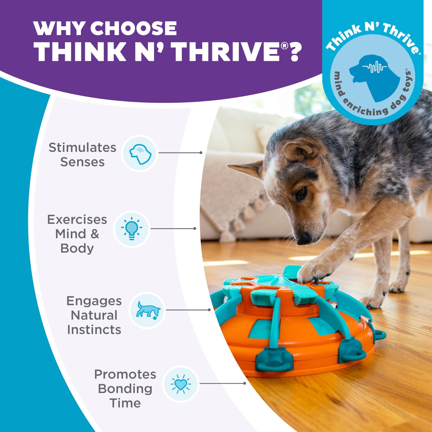 Outward Hound by Nina Ottosson Tower of Treats Level 4 Expert Puzzle