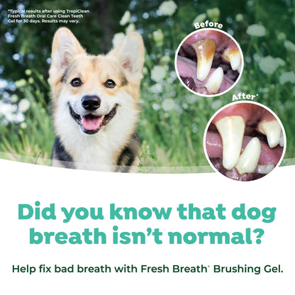 TropiClean Fresh Breath Dog Oral Care Kit, Complete Toothbrush Kit