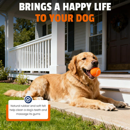 FURWEY Tennis Balls for Dogs 16 Pack,Durable and Non-Toxic Dog Toys