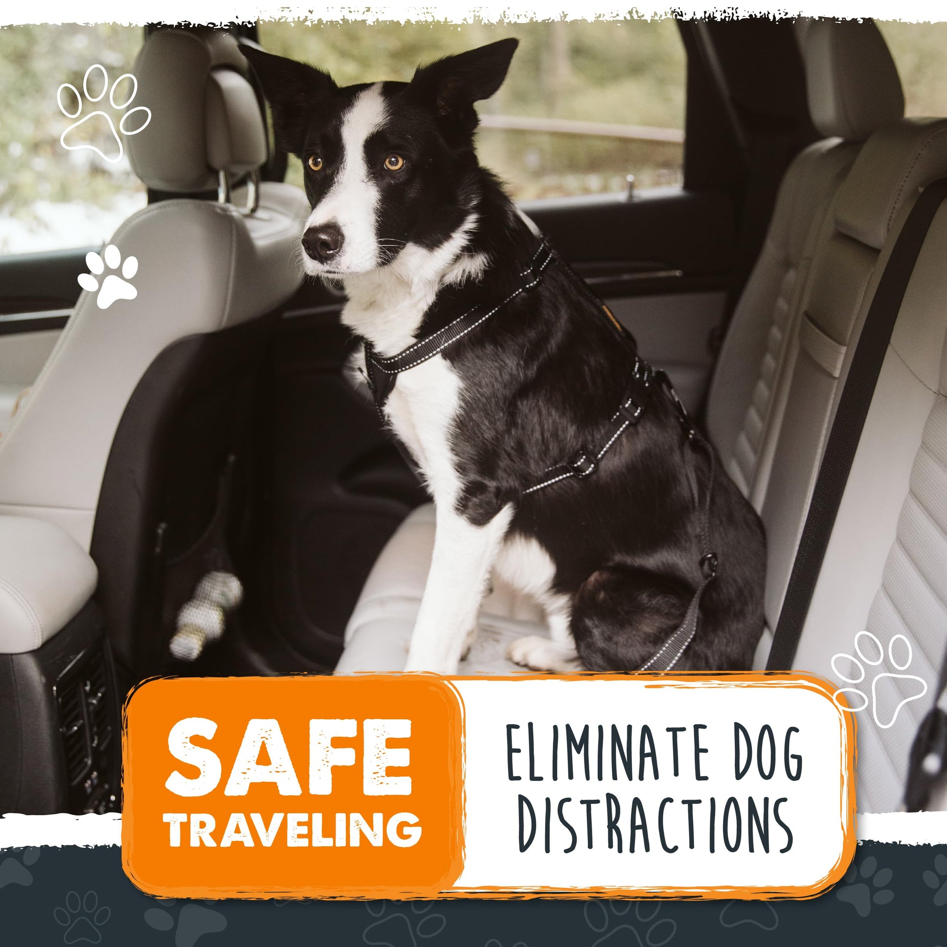 Mighty Paw Dog Seat Belt for Car Safe Distraction Free Driving Seat