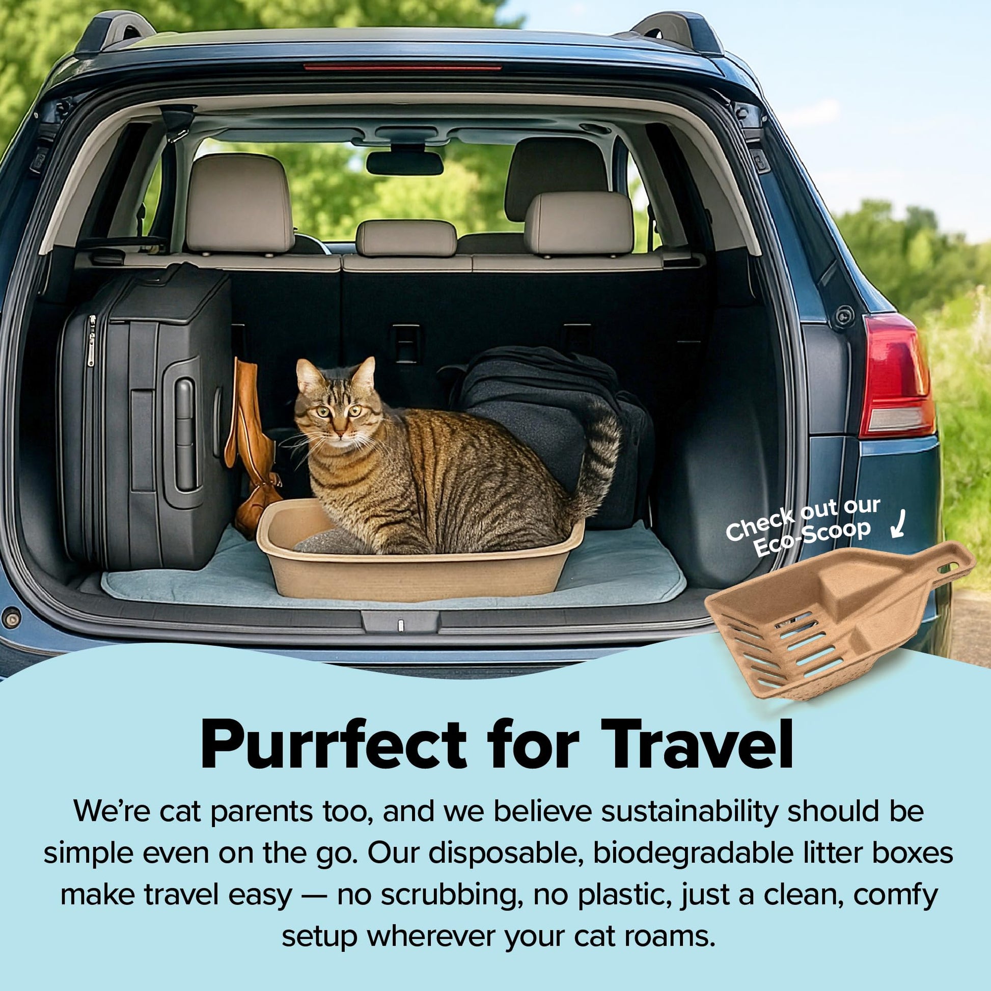 Kitty Sift Disposable Cat Litter Box Large, 6 Count, Durable Box