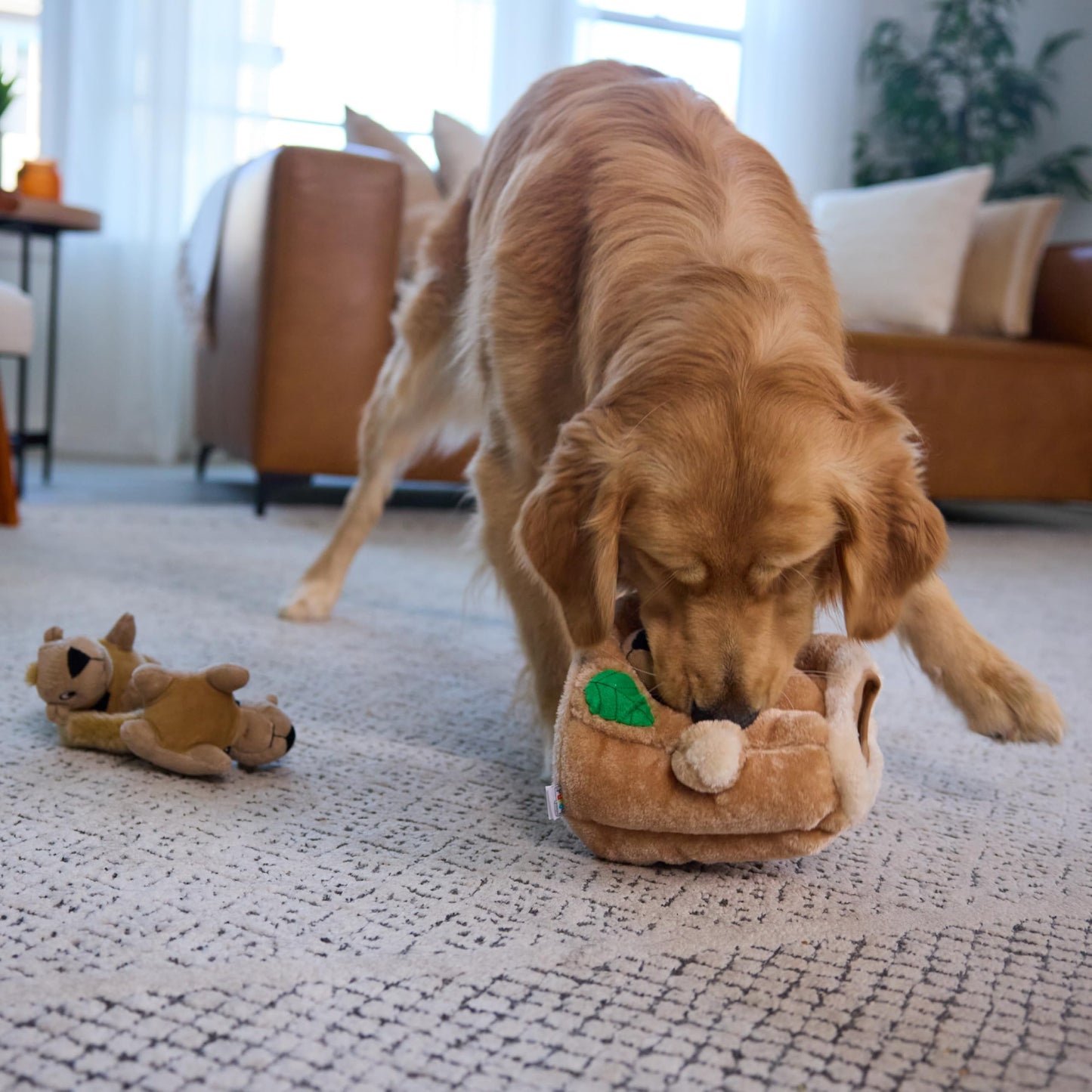 Outward Hound Hide-A-Squirrel Dog Toy Interactive 2‑in‑1 Plush Puzzle