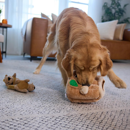 Outward Hound Hide-A-Squirrel Dog Toy Interactive 2‑in‑1 Plush Puzzle