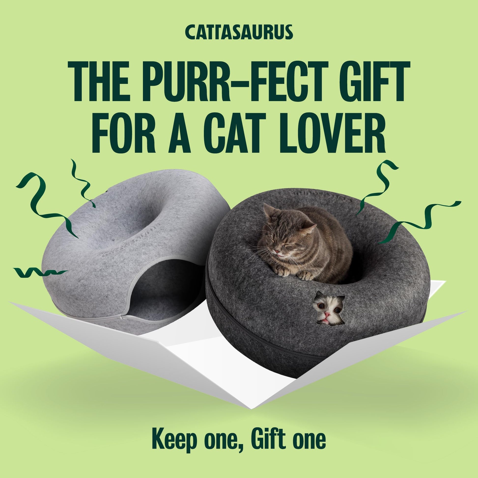 Cattasaurus Peekaboo Cat Cave Donut for Multiple Large Cats up to Bed