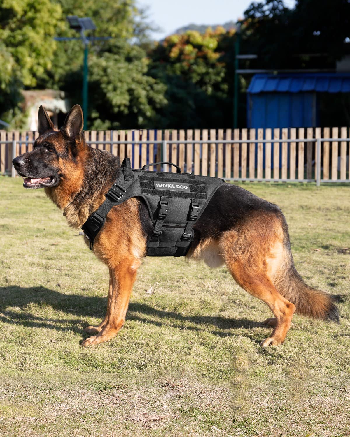 PETNANNY Tactical Dog Harness Service Dog Vest for Large Dogs Hook