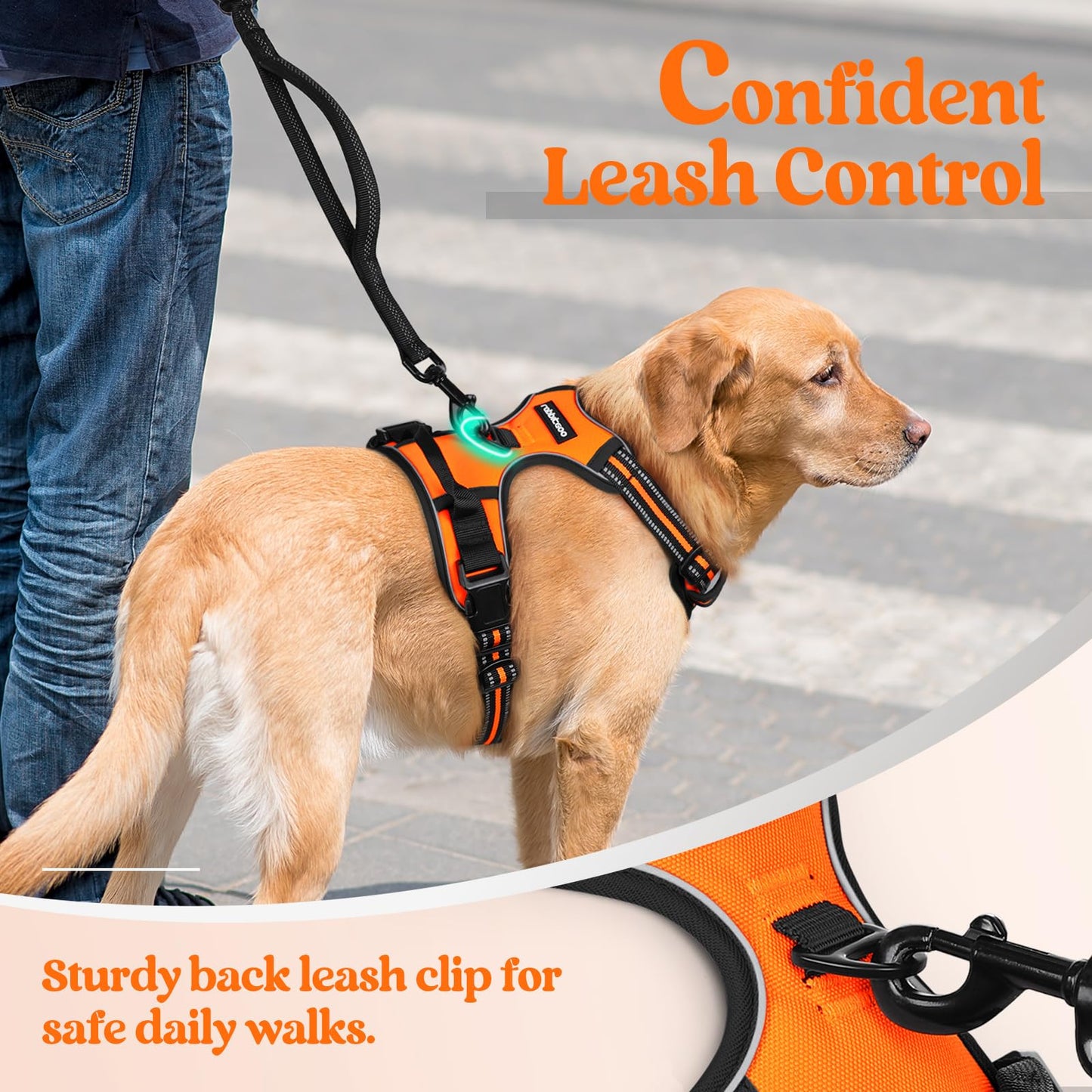 rabbitgoo Dog Harness No Pull with 2 Leash Clips, Adjustable Leash