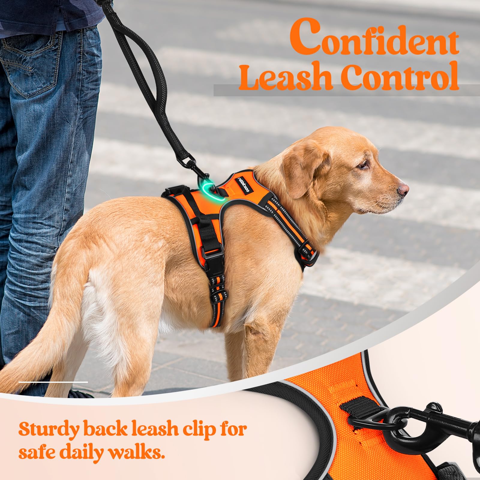rabbitgoo Dog Harness No Pull with 2 Leash Clips, Adjustable Leash