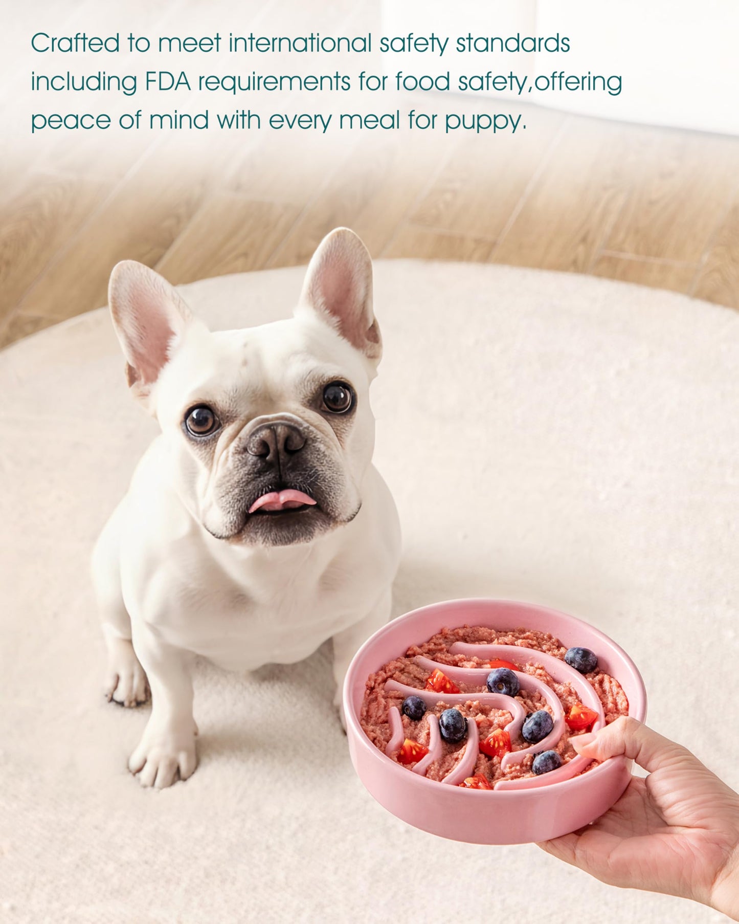 vancasso Slow Feeder Dog Bowl, 0.6 Cup Ceramic Slow Feeding Puzzle
